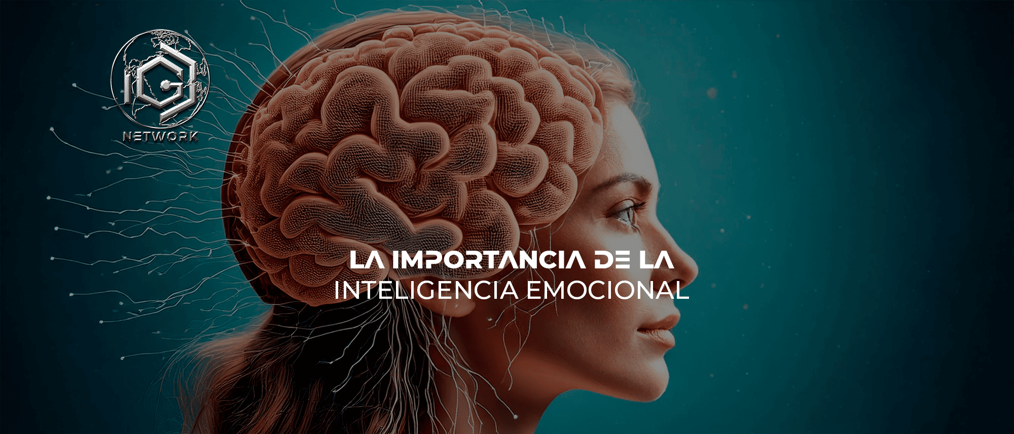 LA IMPORTANCIA DE LA INTELIGENCIA EMOCIONAL